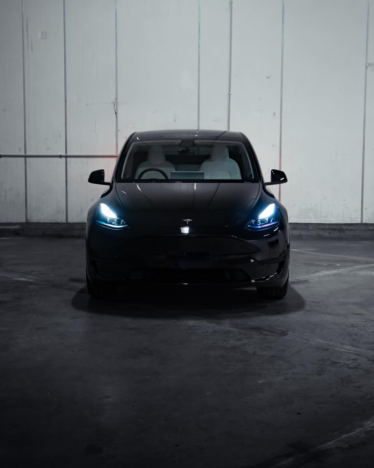 Tesla PPF applied to the bonnet and front bumper at Protect Wraps